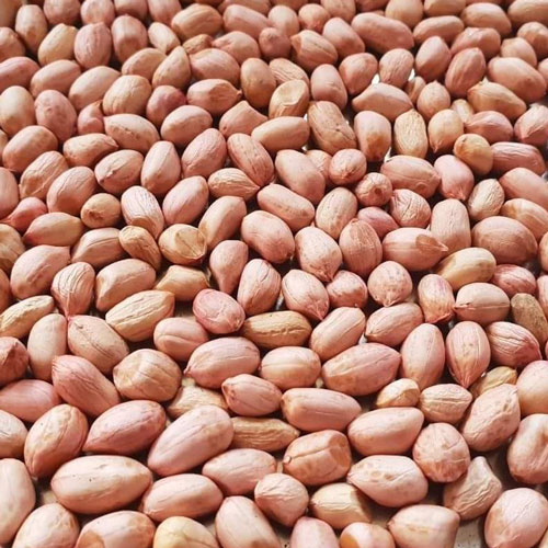 Peanuts